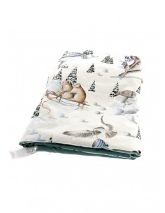 bout de lit cirque au ski...