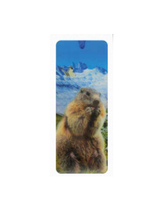 marque page 3d marmotte