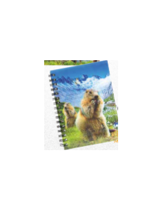 carnet 3d marmotte