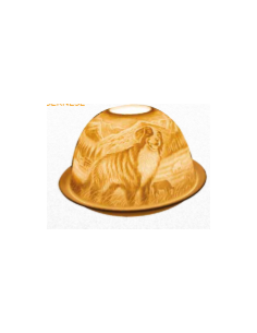 photophore dome bouvier